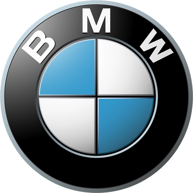 BMW logo